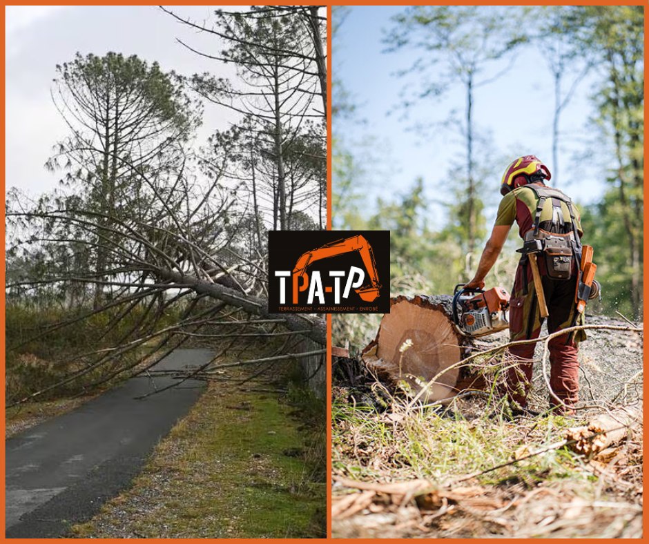 Déboisement et débroussaillage de terrain en Landes