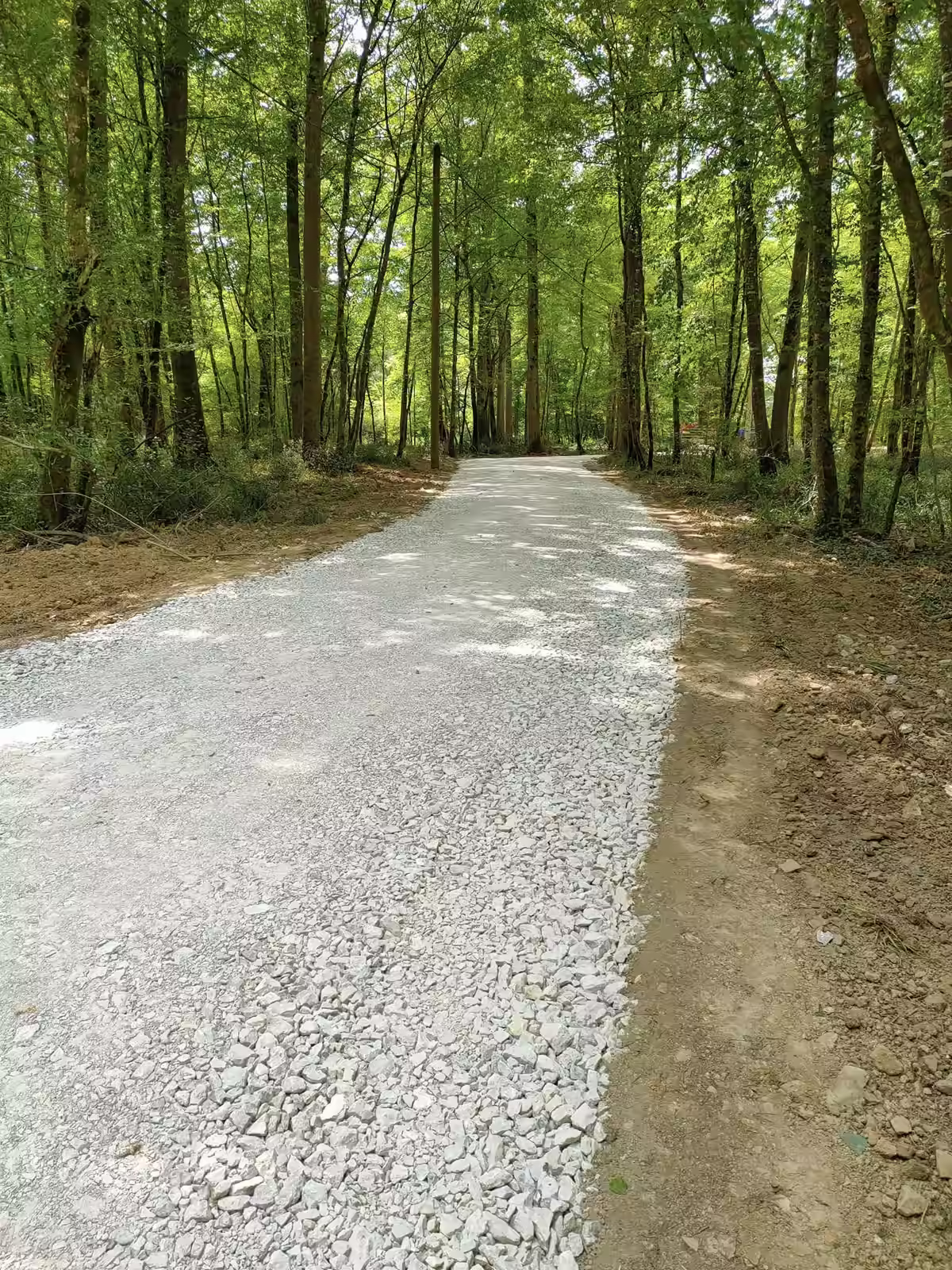 Piste forestière après travaux - TPA-TP